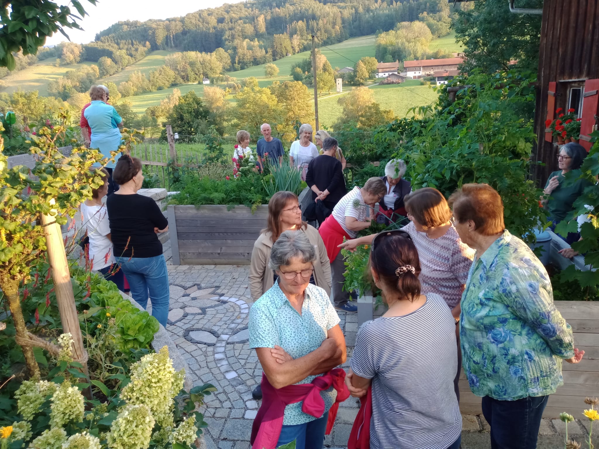 Gartenratsch